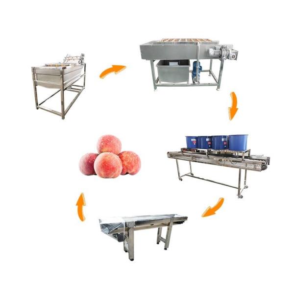 Hot selling Fruit And Vegetable Washing Machine Cleaner Device by Huafood