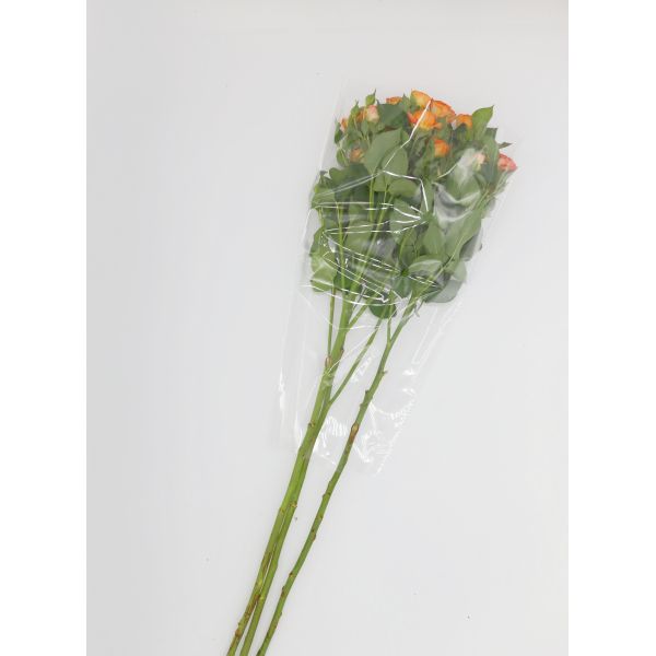 Ясный букет сумки целлофана OPP упаковывая создавая программу-оболочку цветок рукава свежий