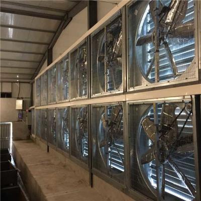 High Efficiency Motor Poultry Farm Climate Control System For Greenhouse