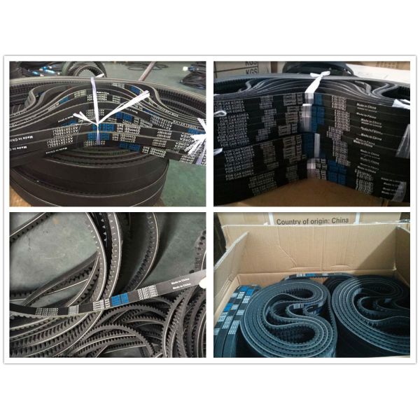 Supply all kinds of high quality auto timing belt pk belt v belt 111MR17 5PK970 13avx875 with stock factory hot sale