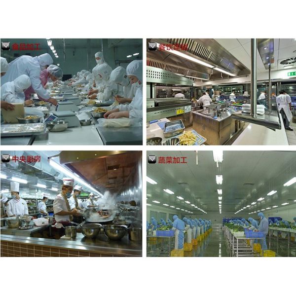 Automatic Ginger Slicer Machine Fc-503 Ginger Shredding Cutting Machine