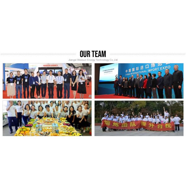 JIANGXI WEESUN NEW ENERGY TECHNOLOGY CO.,LTD