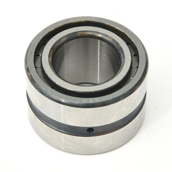 SL RSL Full Complement Cylindrical Roller Bearing