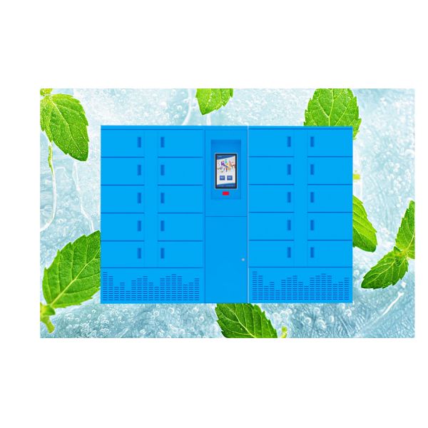 24 Hours Refrigerated Parcel Delivery Cool Locker Self Service Frozen Chilling