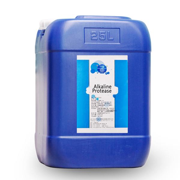 Alkaline Protease Enzyme 50000u/g-1500000u/g Protease Manufacturer Providing Enzyme Preparation Sample Minimum Order 1kg