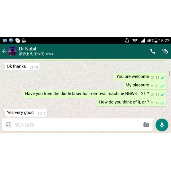 Professional Painless 808nm Diode Laser Hair Removal Machine (NBW-L131)