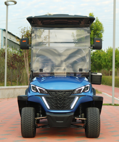 4кВт двигатель 4 места электрическая тележка для гольфа 12 дюймовая шина транспортное средство для продажи с свинцовой батареей