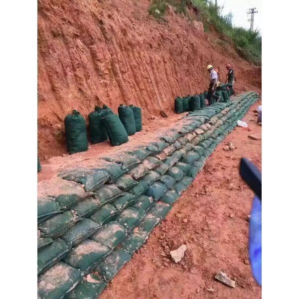 body{background-color:#FFFFFF} 
		非法阻断153
		
         window.onload = function () { 
           document.getElementById(