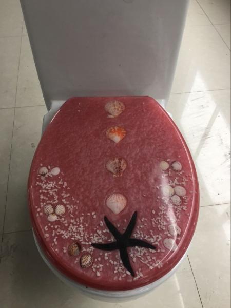 sealife  polyresin decorate sanitary ware toilet seat with best quality hinge,sand toilet seat