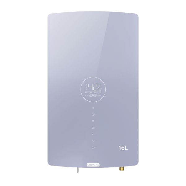 Energy Saving Smart Gas Boiler Instant Water Heater Built-in Copper Heat Exchanger Recirculation Pump for Apartment