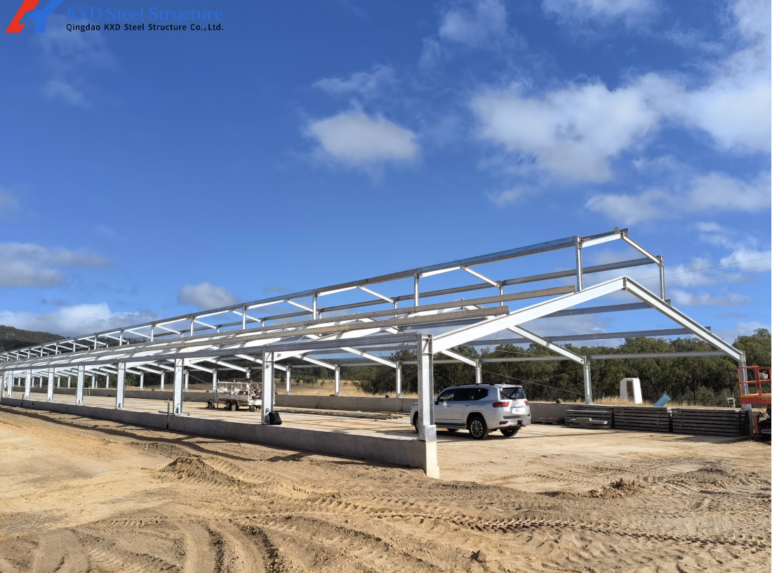 Customized Piggery Shed Steel Structure Animal Husbandry Green House