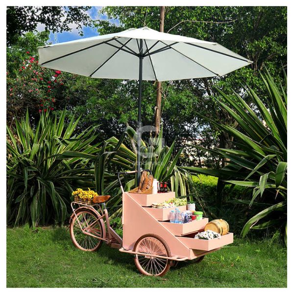 Leisure Fast Food Equipment Food Bike Vending Truck with Customization Acceptable 80kg