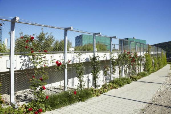 Stainless Steel Wire Rope Green Wall Mesh 304 304L 316 316L