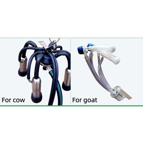 Vacuum Pump Milking Machine-Double Bucket