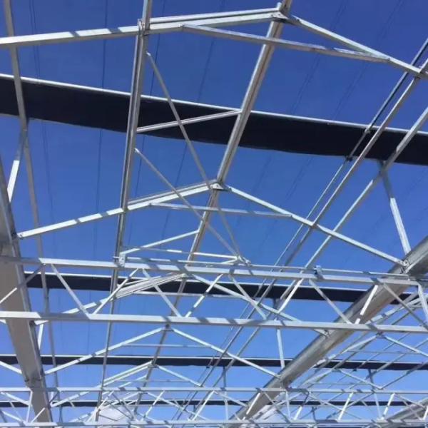 Soilless cultivation Commercial Venlo type multi span glass greenhouse 