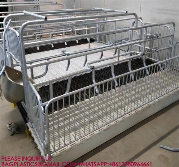 600*600mm Plastic Slats Blind Floor For Pig Farrowing Crate Equipment automatic pig injection