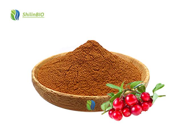 High Quality 10:1 20:1 Schisandra Chinensis Extract Powder Schizandrin