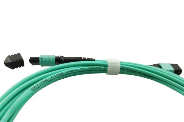 Multimode OM3 MPO Fiber Trunk Cable 12 Fiber Female Type A  LSZH