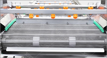 SUS304 Stainless Steel Bubble Vegetable Washing Machine For Carrots Potatoes Ginger Apples