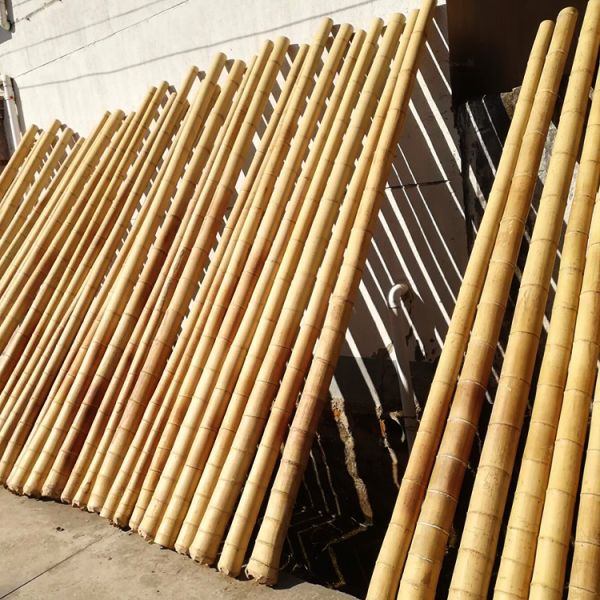 Raw Bamboo Pole 100% Natural for Gardening Construction and Decoration Top Quality Bamboo Canes/Stakes