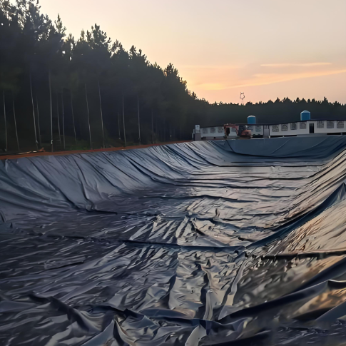 Black HDPE Geomembrane Pond Liner Sheet for Fish Farm Waterproofing