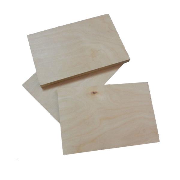 Full Hardwood Core MR 12mm Film Faced Birch Plywood