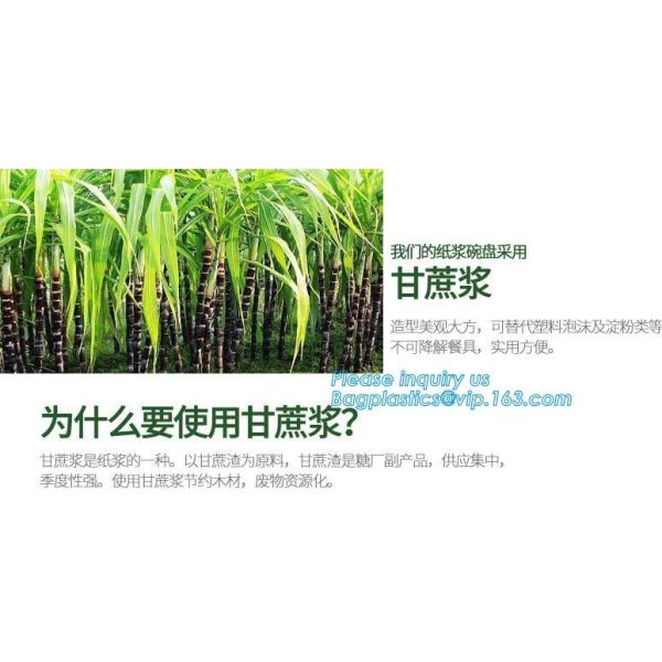 30oz motivitional time marker sport bottle/ fitness & workout tritan straw water bottle/travel mug,Food Grade BPA Free i