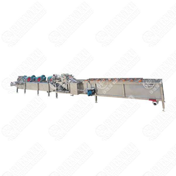 Farm Moringa Leaf Production Line Moringa Dryer Leaf Date Washing Drying Grinding Machine Fruit And Vegetable Dehydrator