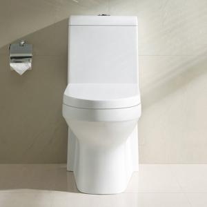 White Bathrooms Toilets Single Flush Elongated Skirted One Piece Toilet Bowl
