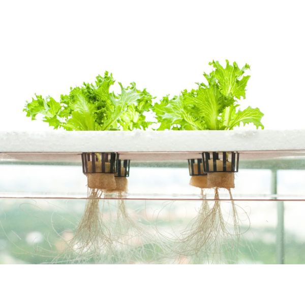 Wholesale high density soilless agriculture  PVC Hydroponic Tower