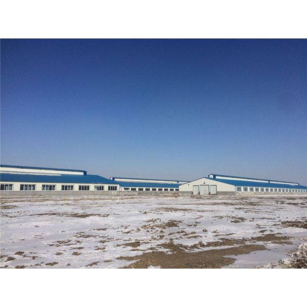 Prefabricated Insulation Steel Cowshed with Sandwich Panel