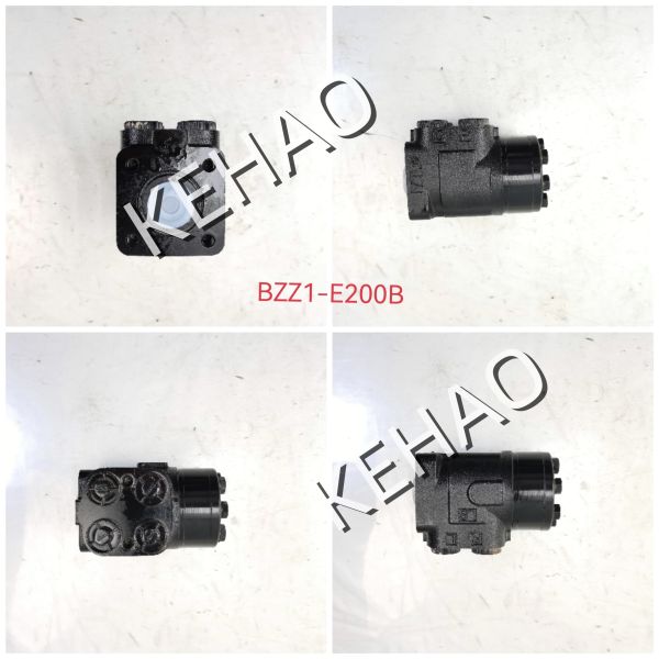 BZZ1-E200B Hydraulic Gear Motor High Pressure Industrial Grade Gear Oil Motor Replacement For Construction Equipment