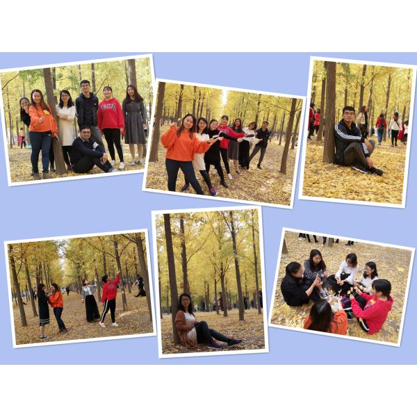 Baoji Minghai Titanium Industry Co.,ltd.