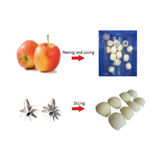 Food Grade Automatic Slinky Apple Peeler And Slicer Machine 35KG Custom
