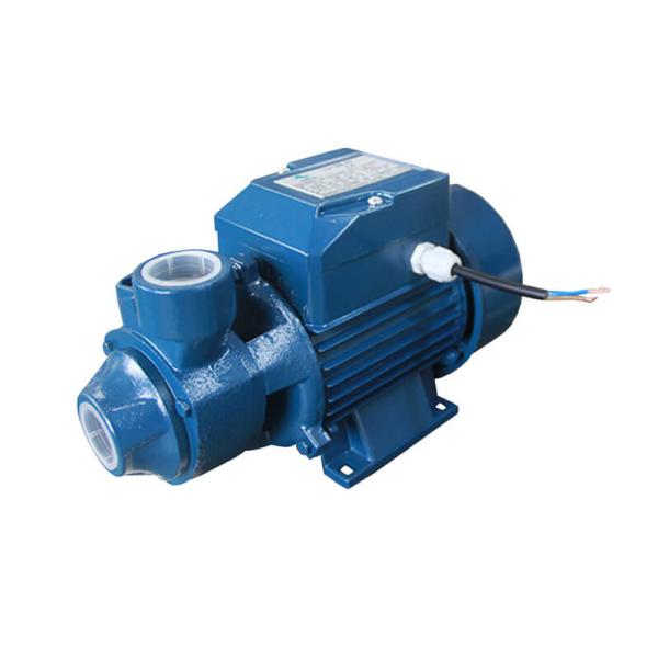Bomba de água elétrica de alta pressão do motor QB60 que trabalha Votage 220V-240V 50HZ 370W