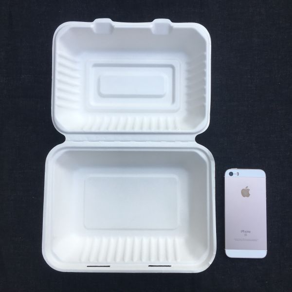 長方形Biodegradable 600ml Disposable Bento Lunch Box Sugarcane Pulp