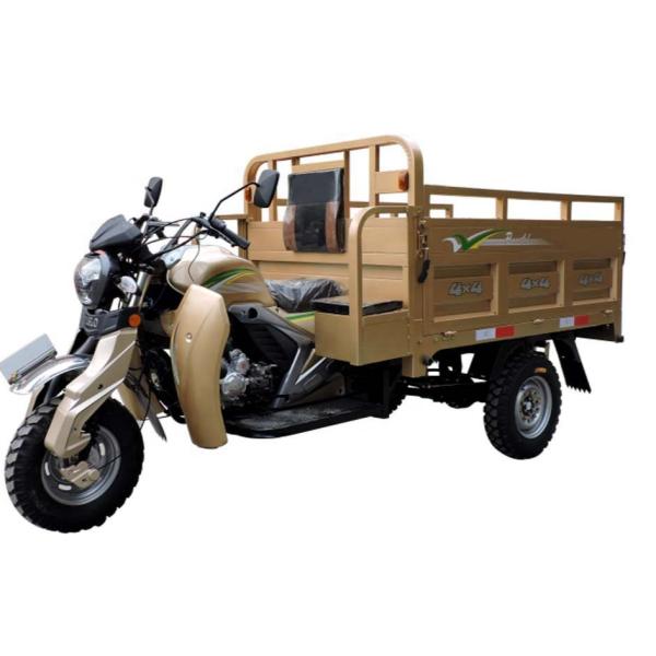 200cc Cargo Motor Tricycle with 900kg Loading Capacity