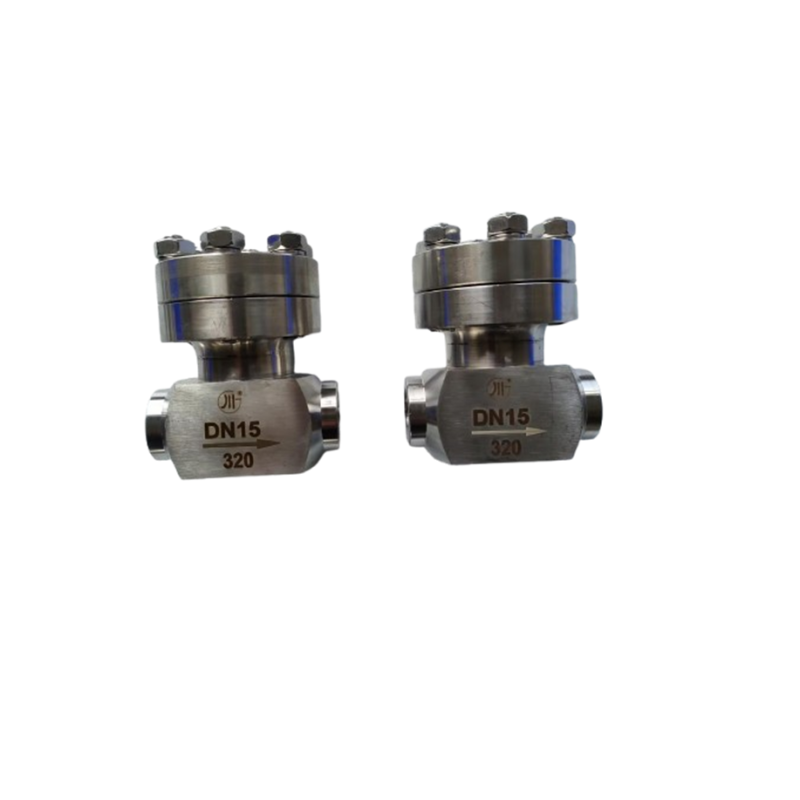 Cryogenic Check Valve with 320 Mpa Maximum Pressure Stainless Steel 304/316 for Temperature Range -196 to +80°C