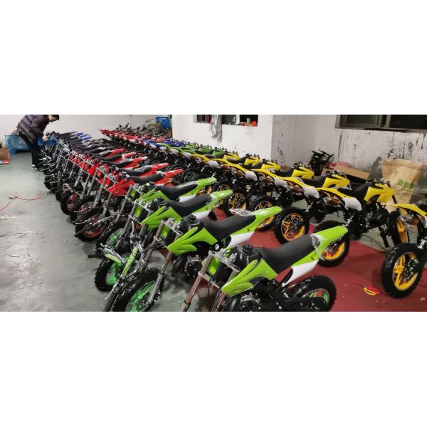 CE Approved 49cc 2 Stroke Kids Orion PCA01 Dirt Bike MAX LOAD 100kg Tires 2.50-10