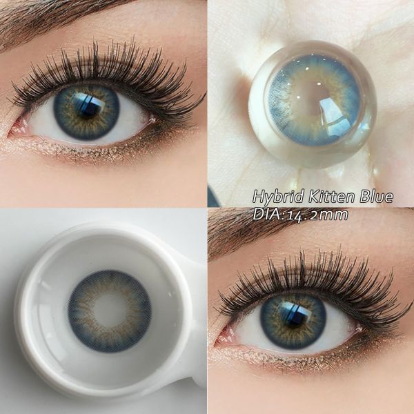 Hybrid Kitten Blue Colored Contact Lens with 40% Water Content and Base Curve 8.5 for Yearly Wear