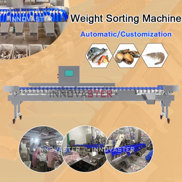 Advanced 500 KG Automatic Fruit Vegetable Weight Sorting Machine for Precise Sorting