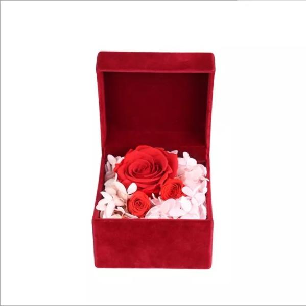 Preserved rose gift Yunnan flowers long lasting ecuadorian preserved rose gift