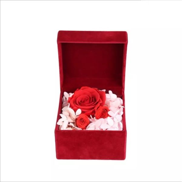 Real Preserved Rose Flower Single Large Rose in Drawer Gift Box for Decoration