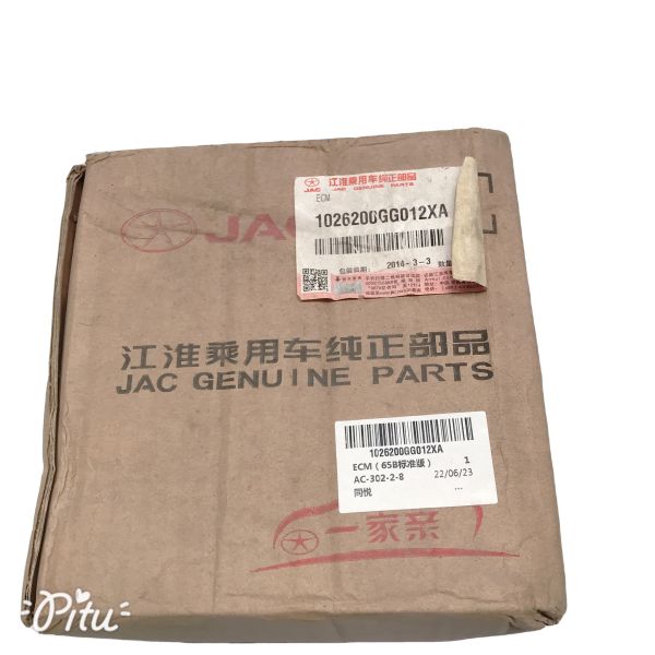 Auto Parts ECM 65B Standard Edition for JAC Tong Yue Saloon 1026200GG012XA Car Fitment