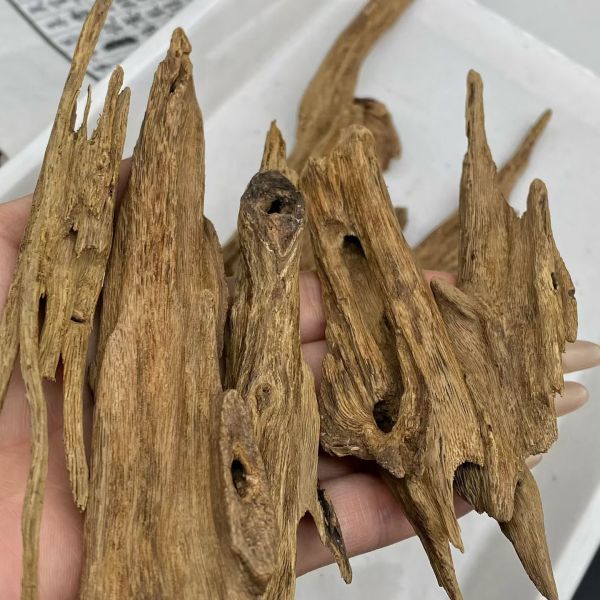 Natural OUD Agarwood resin ideal for luxury fragrance production incense manufacturing and holistic health applications