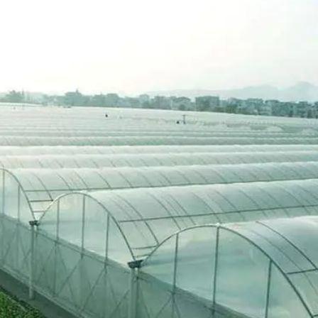 Juxiang Multi-Span Humidity Control Greenhouse for Peppers Film Greenhouse Department