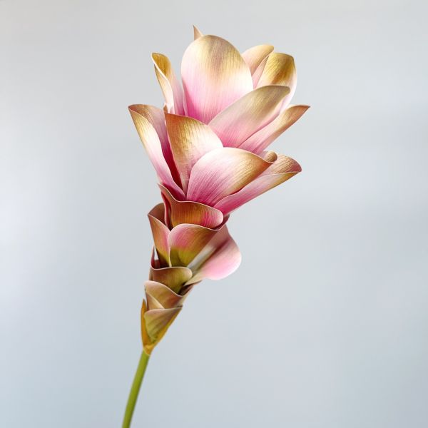 Simulation de fleurs, fleurs de gingembre, fleurs de lotus, impression 3D, fleurs texturées, décoration intérieure, décoration de salle de modèle, accessoires de décoration de mariage, bouquet