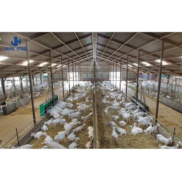 Estrutura de aço de parede de telhado de chapa única camada Casas de frango para galpão de aves