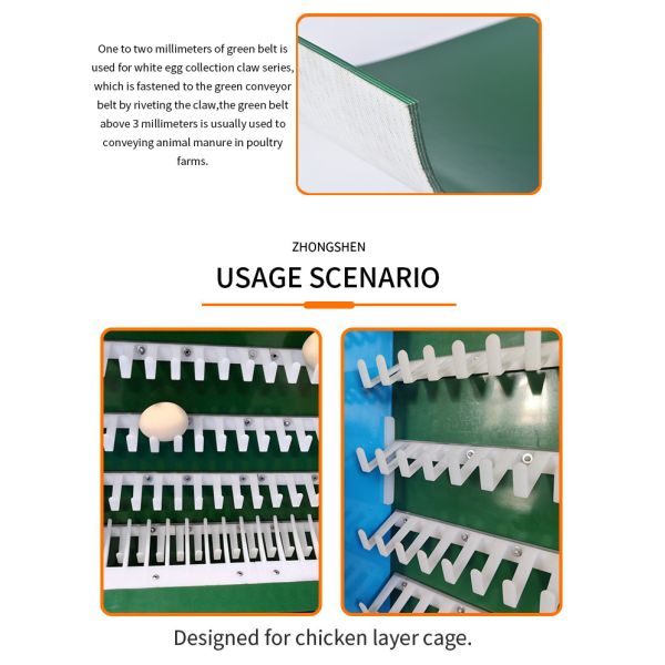 Sistema de eliminación de estiércol de las granjas avícolas con cinta transportadora verde de PVC antibloqueo