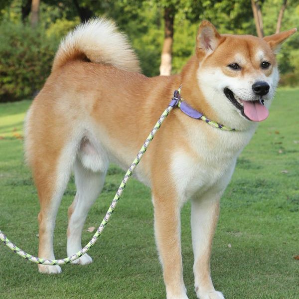 Adjustable Soft Padded Dog Harness Reflective Safety Escape Proof Durable Pet Harness Bulk Supply